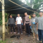 Cegah Penyebaran Rabies, Tim Eliminasi Bangka Nekang Musnahkan Anjing Liar Positif Rabies di Wae Palo