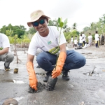 Hijaukan Pesisir Lombok Timur, PLN Grup NTB Tanam 5.000 Mangrove
