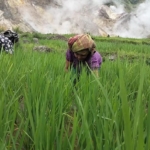 Tepis Kekhawatiran Warga, Pemprov NTT Pastikan Pengembangan Geothermal Flores Aman dan Bermanfaat