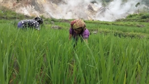 Tepis Kekhawatiran Warga, Pemprov NTT Pastikan Pengembangan Geothermal Flores Aman dan Bermanfaat