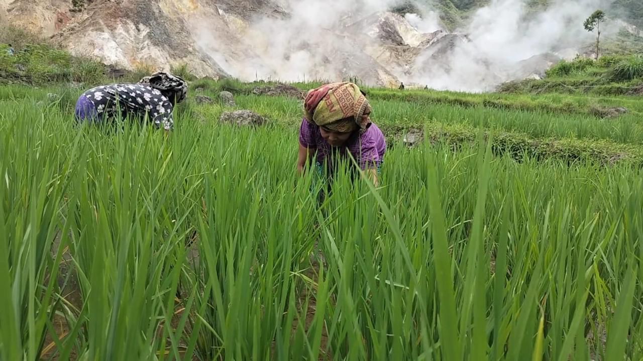 Tepis Kekhawatiran Warga, Pemprov NTT Pastikan Pengembangan Geothermal Flores Aman dan Bermanfaat