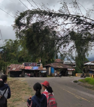 Cuaca Ekstrem Terjang Manggarai: Jaringan Listrik 20 KV Rusak, Petugas Percepat Pemulihan