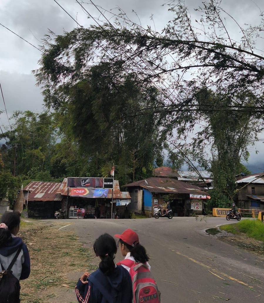 Cuaca Ekstrem Terjang Manggarai: Jaringan Listrik 20 KV Rusak, Petugas Percepat Pemulihan