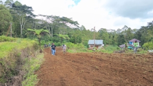Transformasi Pertanian: Pemkab Manggarai Mulai Garap Lahan Produktif Golo Dukal