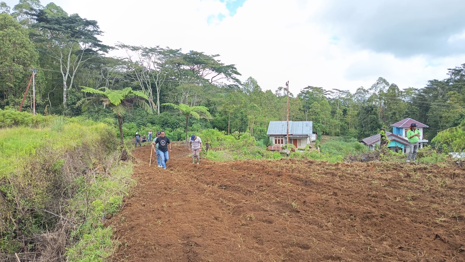 Transformasi Pertanian: Pemkab Manggarai Mulai Garap Lahan Produktif Golo Dukal