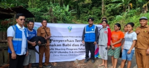 Tingkatkan Kesejahteraan Warga Sekitar PLTP Ulumbu, Bantuan Ternak PLN Berbuah Manis