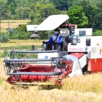 Dinas Pertanian Manggarai Uji Coba Dua Unit Combine Harvester di Lingko Lanar Cancar