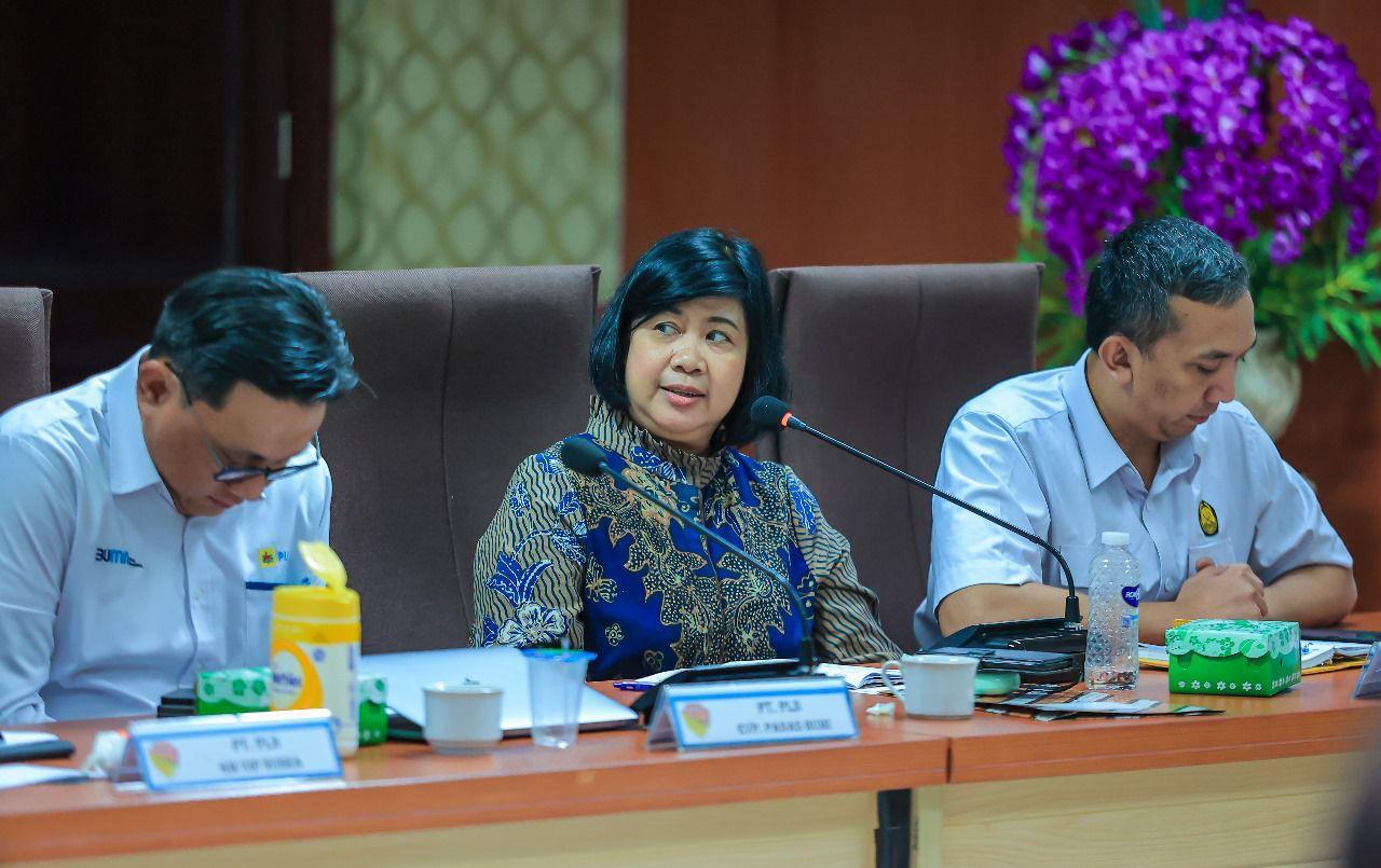 Gandeng Ahli Geothermal UGM, PLN Edukasi Masyarakat Soal Fenomena Alam di Flores