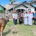 Idul Adha 1447 H: Pemkab Manggarai Salurkan Hewan Kurban ke Desa Nuca Molas