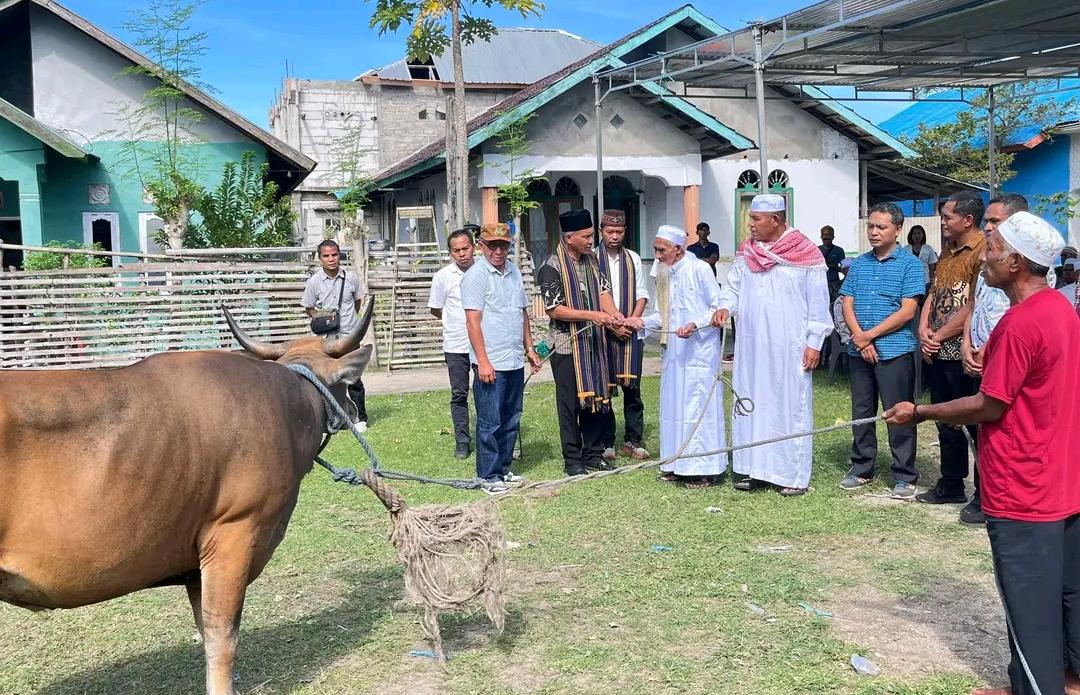 Idul Adha 1447 H: Pemkab Manggarai Salurkan Hewan Kurban ke Desa Nuca Molas