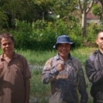 Bawang Merah Tumbuh Subur di Daerah Dingin, Pemkab dan DPRD Manggarai Siap Perluas Budi Daya