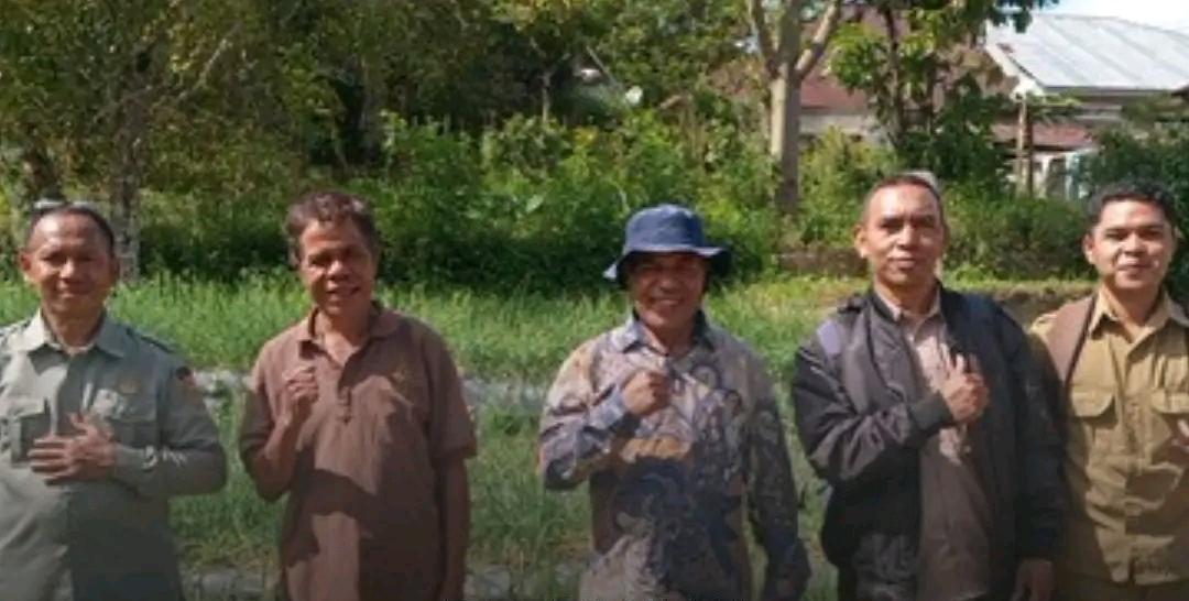 Bawang Merah Tumbuh Subur di Daerah Dingin, Pemkab dan DPRD Manggarai Siap Perluas Budi Daya