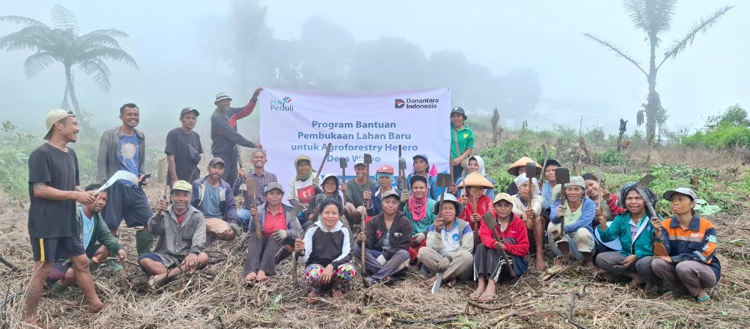 Fokus Pemberdayaan: PLN Berdayakan Masyarakat Adat Wewo Lewat Program Agroforestry Hetero