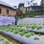 Tak Perlu Siram Manual, Petani Desa Lungar Nikmati Kemudahan Pengairan Berbasis Listrik PLN