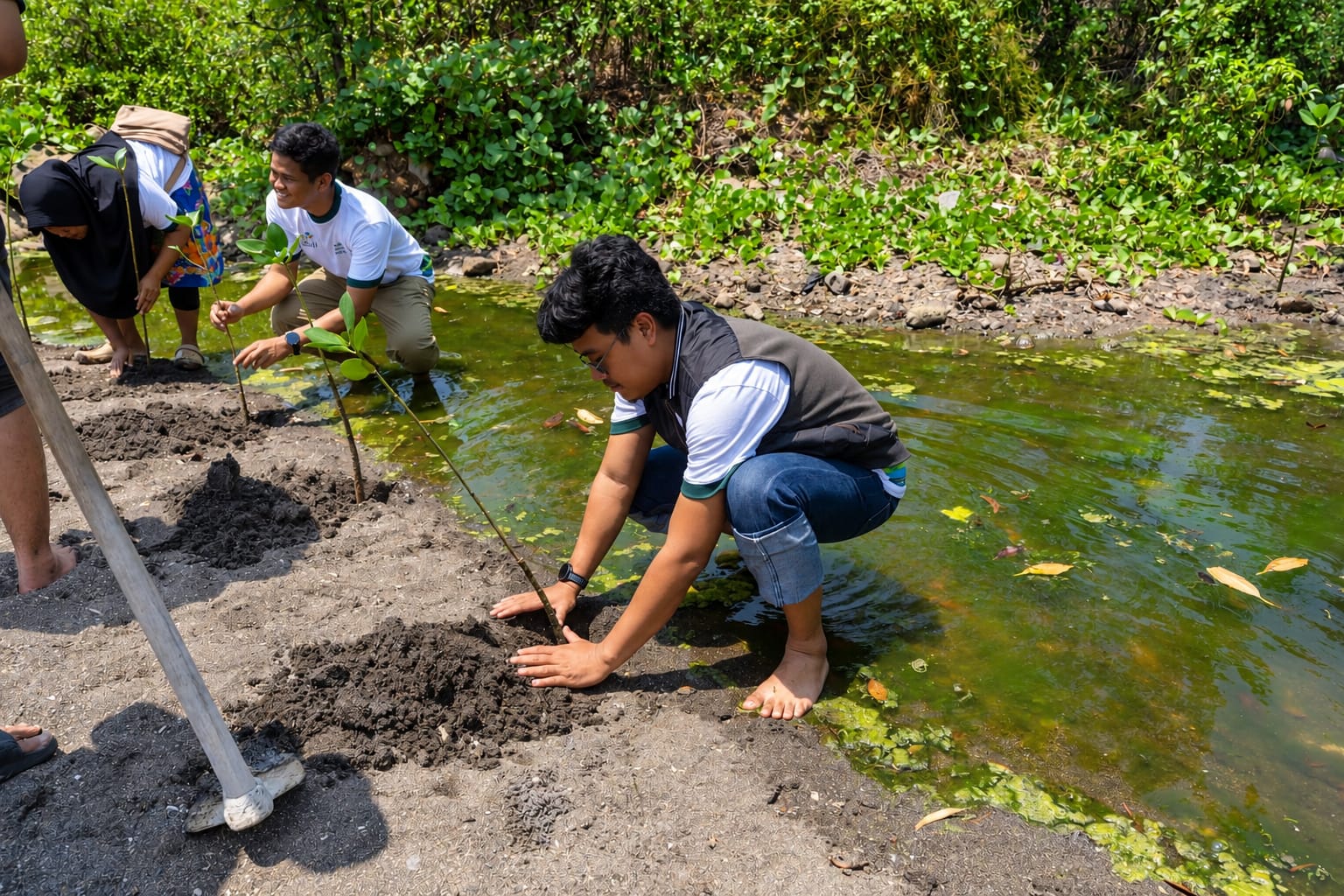 PLN UIP Nusra Salurkan Bantuan Ekowisata Mangrove Padak Guar: Jaga Pesisir Sekaligus Dongkrak Ekonomi Desa
